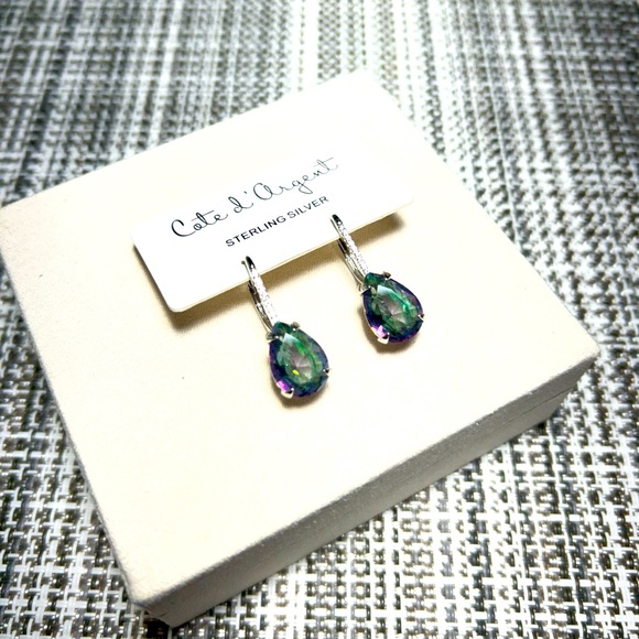 Cote d’ Argert BRAND NEW Silver toned hoop earrings ✨✨✨ - Picture 2 of 5